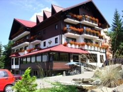 Hotel Pensiune Heraldic Club - Poiana Brasov - poza 1 - travelro